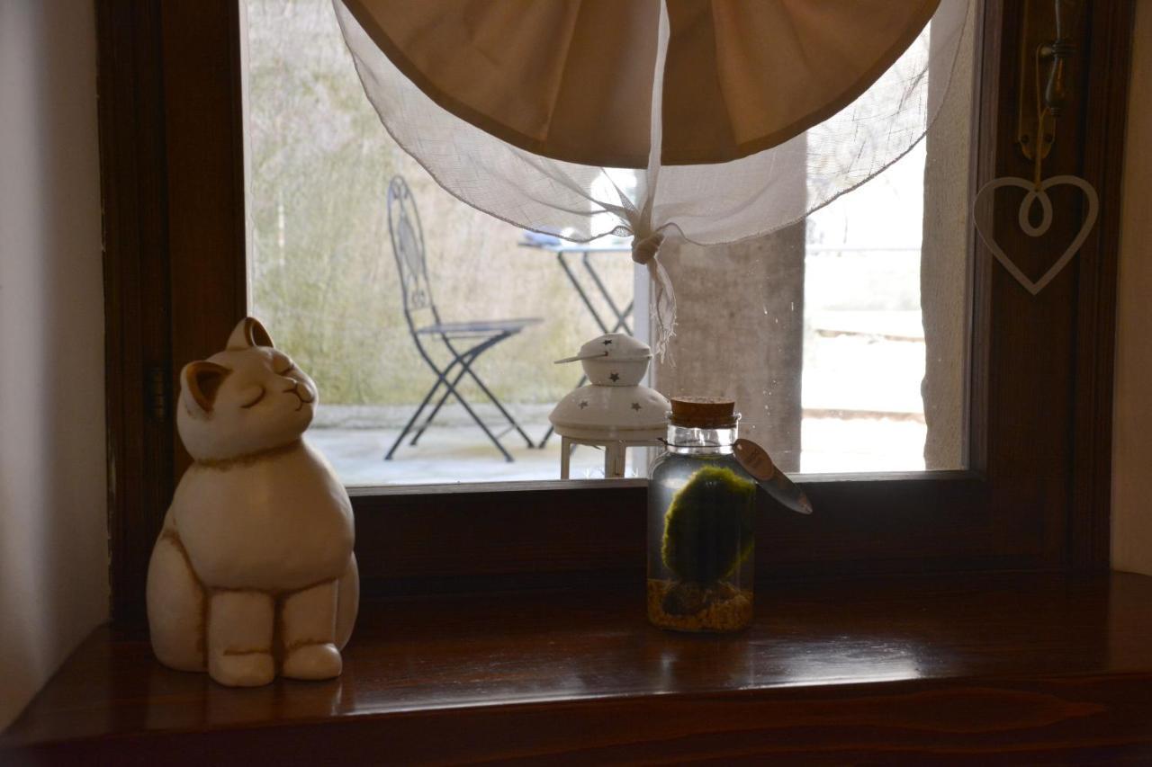 Accogliente Locale Con Terrazzo In Centro Storico Appartement Vittorio Veneto Buitenkant foto