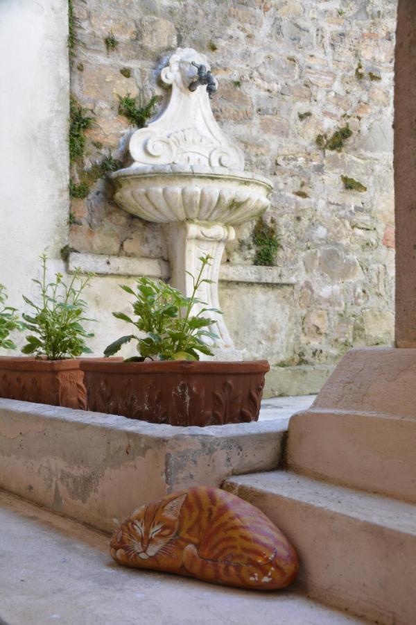 Accogliente Locale Con Terrazzo In Centro Storico Appartement Vittorio Veneto Buitenkant foto
